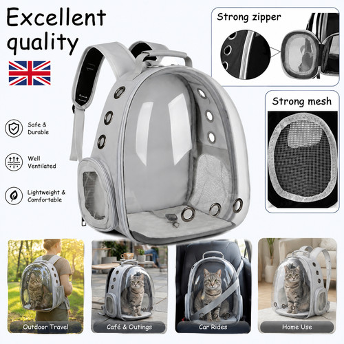 Astronaut window dog cat - astronaut,