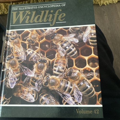 The illustrated encyclopedia - the,