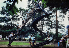 Large Group of Kids on a