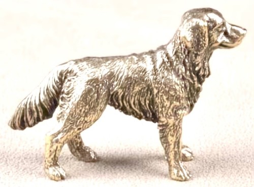 Golden retriever labrador - golden,