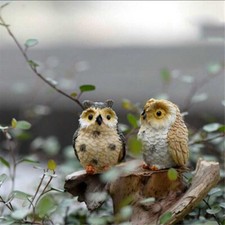 Miniature Cute Owls Fairy