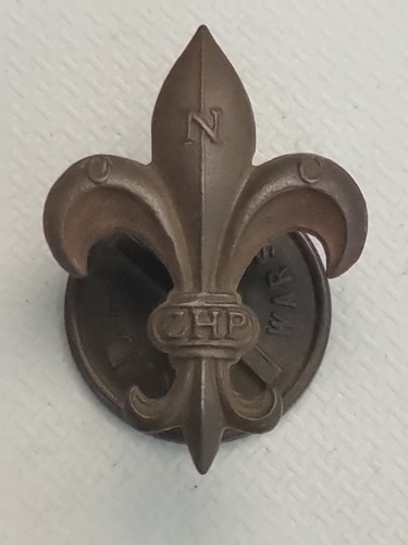 Zhp polska polish scout - polish, badge