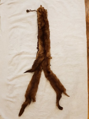Real mink stole inches nose - mink,