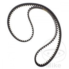 Contitech Drive Belt fits