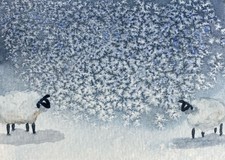 Original Watercolour Sheep In