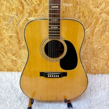 CANYON W-50 Acoustic Guitar