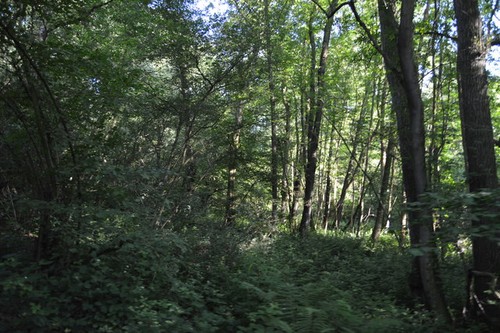Photo 6x4 eight - 6x4,