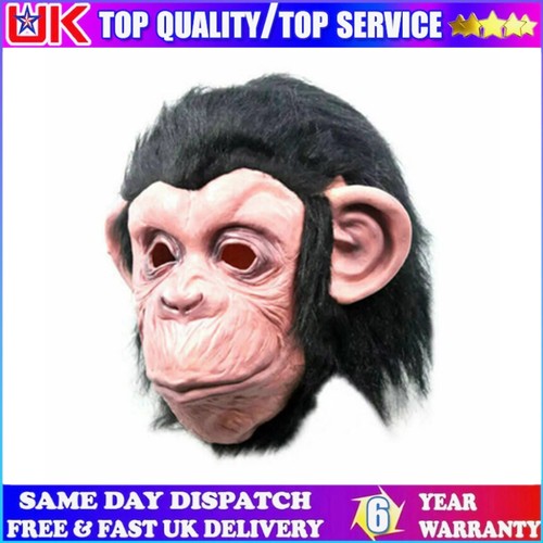 Costume gorilla monkey animal - gorilla,