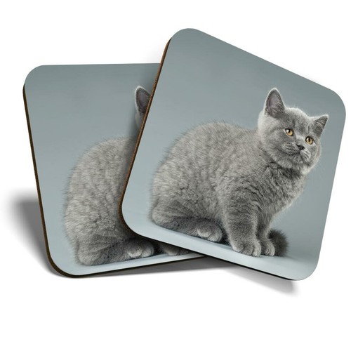 Coasters blue british - x,