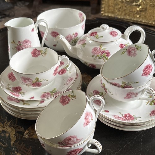 Antique rose pattern china - ,