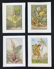 flower fairies by Cicely Mary