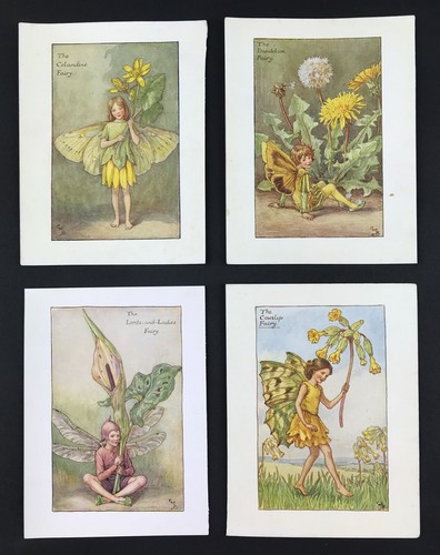 Flower fairies cicely mary - flower, by