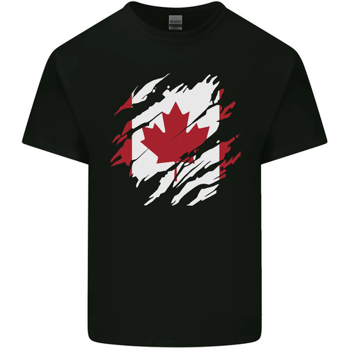 Torn canada flag canadian day - canadian,