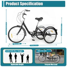 24 Inch Adult Tricycle Trike