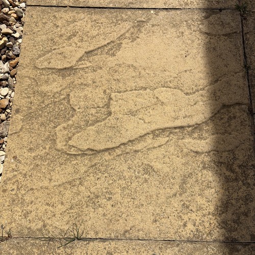 Peak riven buff paving - peak, slabs