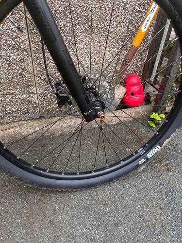 Mountain bike orbea alma - mountain, xl