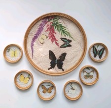 Vintage Retro Butterfly Trays