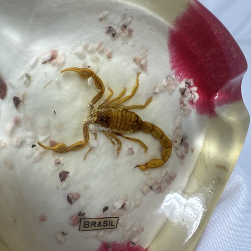 Real scorpion ashtray brazil - real,