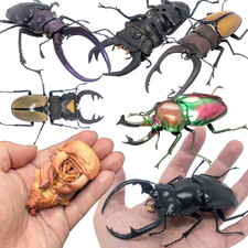 Bandai gashapon stag beetle - bandai,