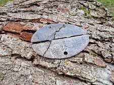 WW2 Original German ID Dog