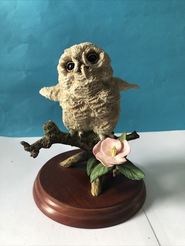 Tawny owlet by russell - tawny,