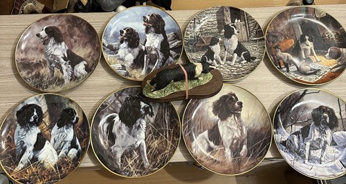8xdog plates and 1xdog - 8xdog,