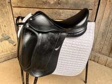 17" Equipe Emporio Dressage