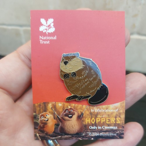 National trust beaver - beaver, pin