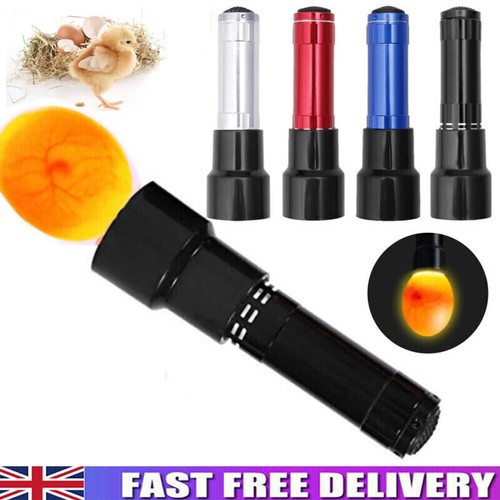 Led egg candler cool - egg, light