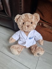 Drayton Manor Resort Teddy