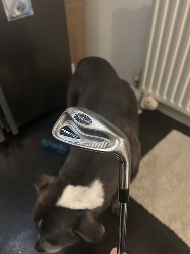 Wilson pro staff irons - pro,