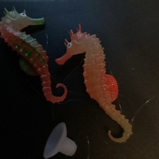 Floating Sea Horse Glowing