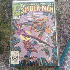 PETER PARKER THE SPECTACULAR