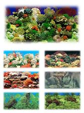 Aquarium Fish Tank Vivarium Background Picture Poster 24" tall/drop/height ref03