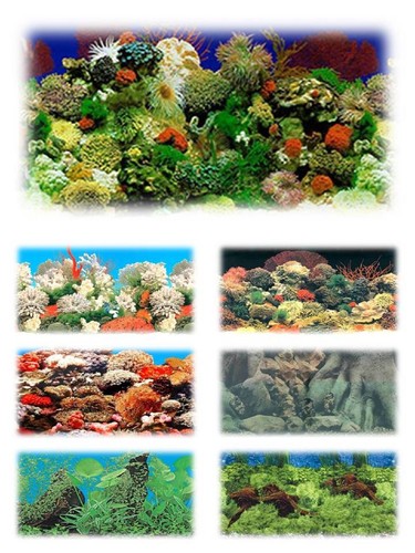 Aquarium fish tank vivarium - tank,