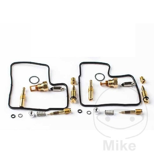 Carburetor overhaul kit