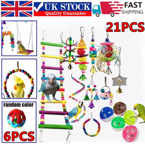 Pack parrot toys - 21,