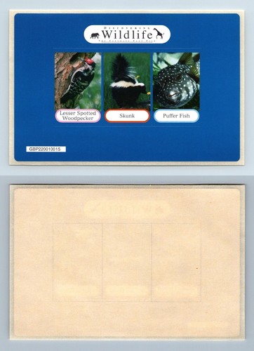 Discovering wildlife the - wildlife,