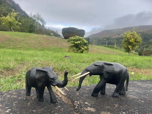 Pair vintage hand carved - vintage,