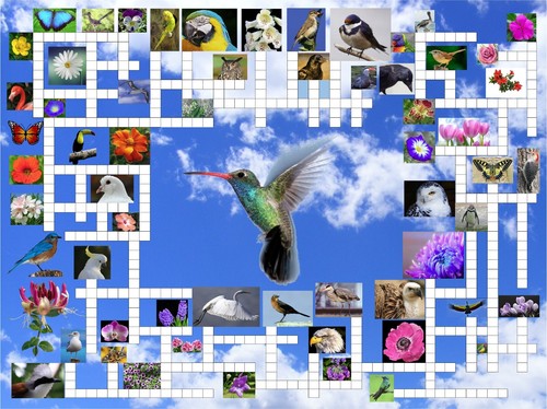 Crossword 1 jigsaw - -,