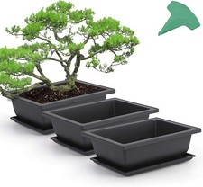 Plastic Bonsai Training Pots