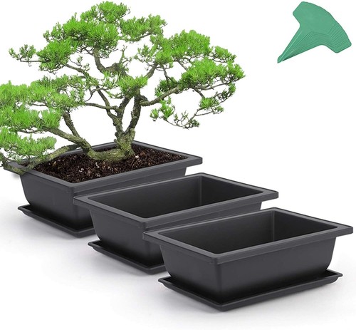 Plastic bonsai training pots - training,
