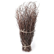 SOUJOY 100 PCS Birch Twigs for