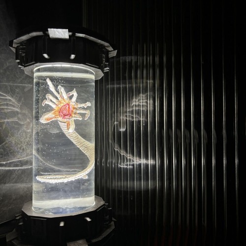 Xenomorph facehugger petri - xenomorph,