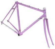 Schwinn Paramount Steel Road