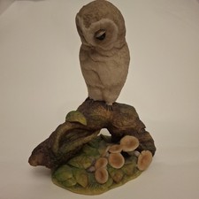 Teviotdale Owl On Branch Ornament On Base , 17cm Tall And Base 8cm X 14cm