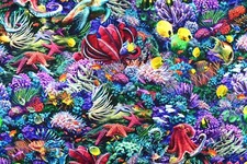 Tropical fish Fabric, Quilting