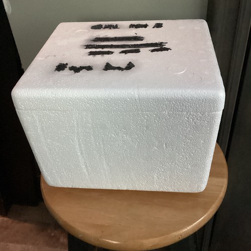 Small styrofoam foam shipping - small,