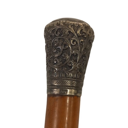 Vintage bamboo walking stick - bamboo,