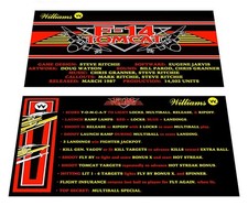 Williams F-14 Tomcat Pinball